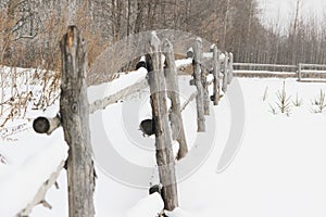 Rustic wooden fence