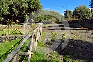 Rustic Wooden Fence And Dirt Road In A Woodland