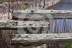 Rustic Wooden Fence with View of Sandy Beach and Plants at San Gregorio State Beach and Lagoon, California