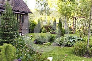 Rustic wooden house and cottage garden view in summer.