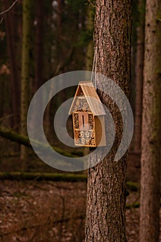 Rustic wooden insect hotel on a tree in the forest