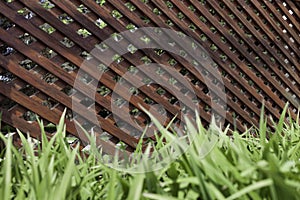 Rustic wooden latticework in the shape of a corridor on a stone floor and green grass photo