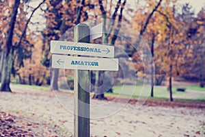 Rustic wooden sign in an autumn park with the words Professional