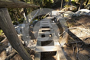 Rustic wooden stairs on trail