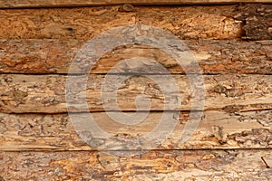 A rustic wooden surface of pine trees