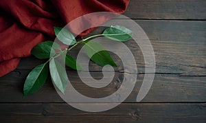 Rustic Wooden Surface with Red Cloth and Green Leaves, Copy Space