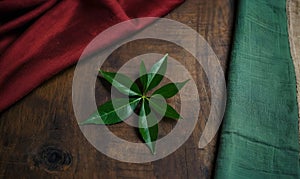 Rustic Wooden Surface with Red Cloth and Green Leaves, Copy Space