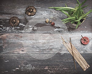 Rustic wooden table with green plant, burning incense, small energy healing stones and Tibetan meditation prayer bells