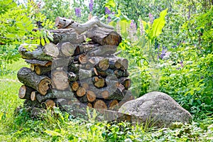 Rustic woodpile of firewood on the background of plants