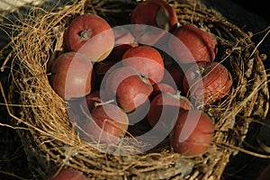 Rustical Apples photo