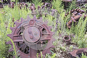 Rusting gears in green field