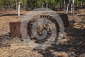 Rusting Old Abattoir Relic In Bushland