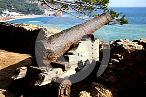 Rusting Spanish cannon