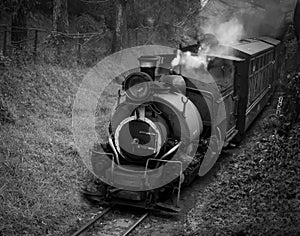 Rusting Steam Engine