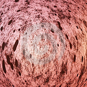 Rusting Texture - Aged, Weathered, Industrial Decay