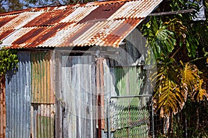 Rusting Wreck Of An Old Shed