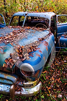 A rusty abandoned car in the woods.