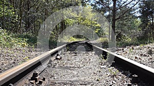 Rusty abandoned railroad tracks curve in the forest. Still shot with wind movement in trees. Travel, end of the world or lonelines