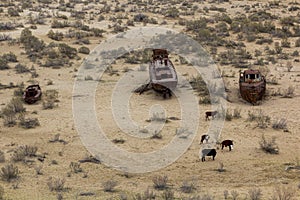 Rusty abandoned ships at the Ship cemetery at the former Aral sea coast in Moynaq Mo ynoq or Muynak , Uzbekist