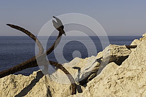 Rusty anchor at the rocky coast