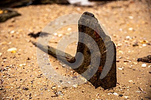 A Rusty Anchor on a Sandy Beach