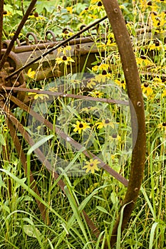 Rusty Antique Wheel