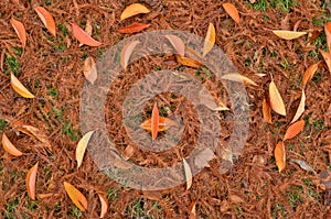 Rusty autumn leaves covering grass