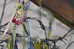 Rusty bar, barbed wire, Carnation and national ribbon.