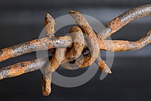 Rusty barb of a barbed wire fence