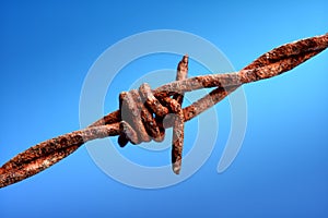 Rusty barbed wire