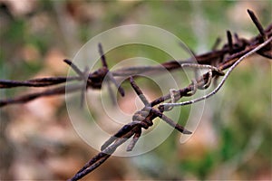 Rusty Barbed wire