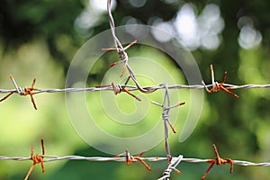 Rusty barbed wire