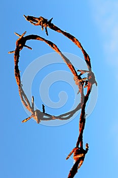 Rusty barbed wire