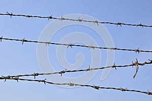 Rusty barbed wire, blue sky background