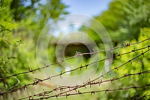 Rusty barbed wire on the blurry background
