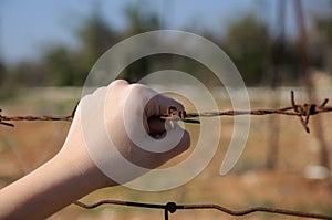 Rusty barbed wire in a child's hand