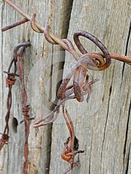 Rusty Barbed Wire Clings To The Ageing Fence Post