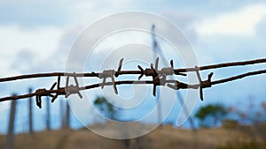 Rusty barbed wire close-up.