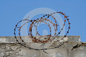 rusty barbed wire coil on top of a concrete wall