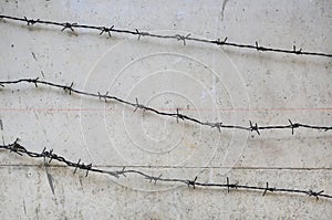 Rusty barbed wire on concrete wall background