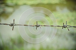 rusty barbed wire fence