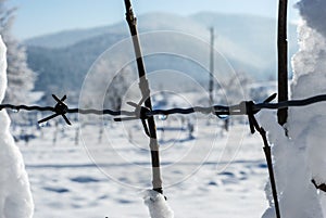 Rusty barbed wire fence against the snow. Winter scene in mountains on cold day. Landscape.