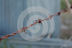 Rusty Barbed Wire Fence with Cobwebs & Blurred Grey & Green Background