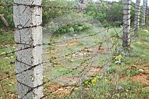 Rusty barbed wire fence with concrete pillars in on green grass background