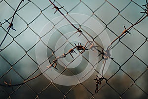 Rusty barbed wire folded around a mesh fence against a cloudy sky. Restriction of freedom. Prison