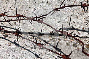 rusty barbed wire old