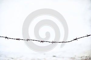 Rusty barbed wire, old wall whitewashed on lime on the background, wallpaper, space for text