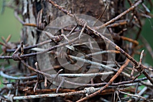 Rusty barbed wire reeled up on the post