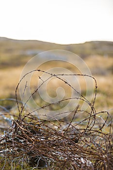 Rusty barbed wire in rural grass