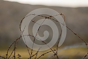 Rusty barbed wire in rural grass